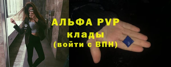 индика Куйбышев