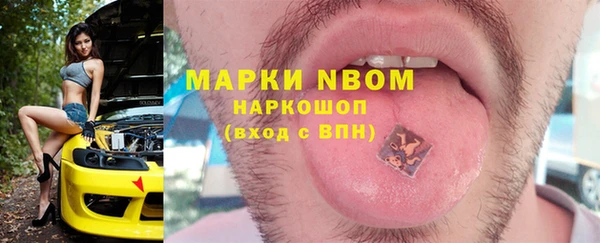 индика Куйбышев