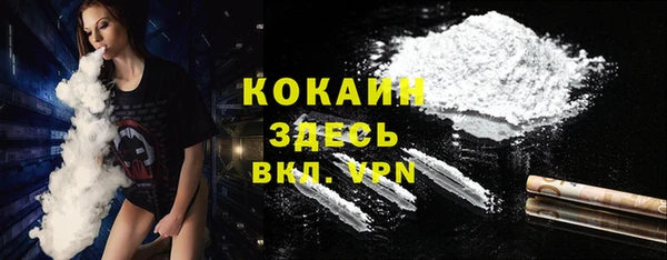 индика Куйбышев