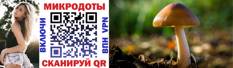 Псилоцибиновые грибы прущие грибы  Купить  Тосно 